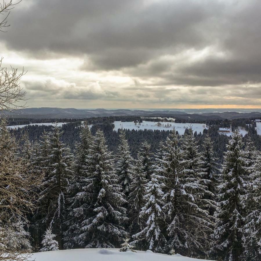 Harznest Leilighet Braunlage Eksteriør bilde
