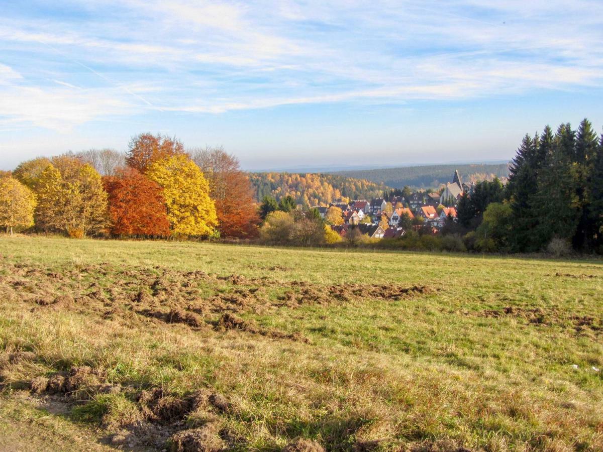 Harznest Leilighet Braunlage Eksteriør bilde